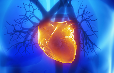 Мал-фото альт